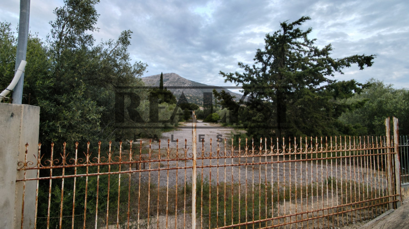 property-img