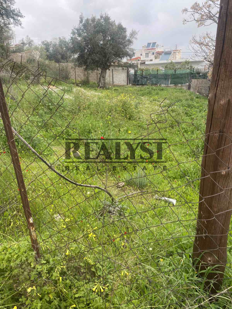 property-img